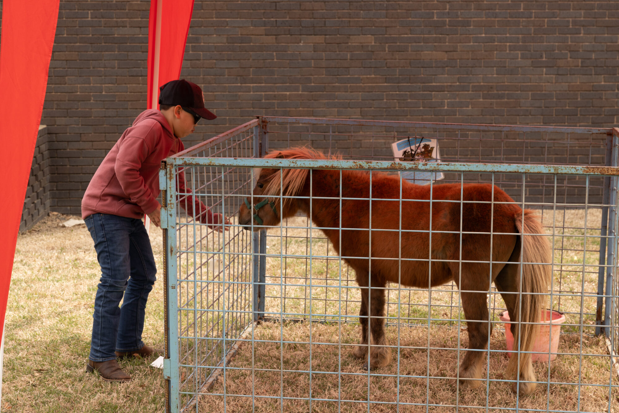 World Catfish Festival BelzoniHumphreys Development Foundation